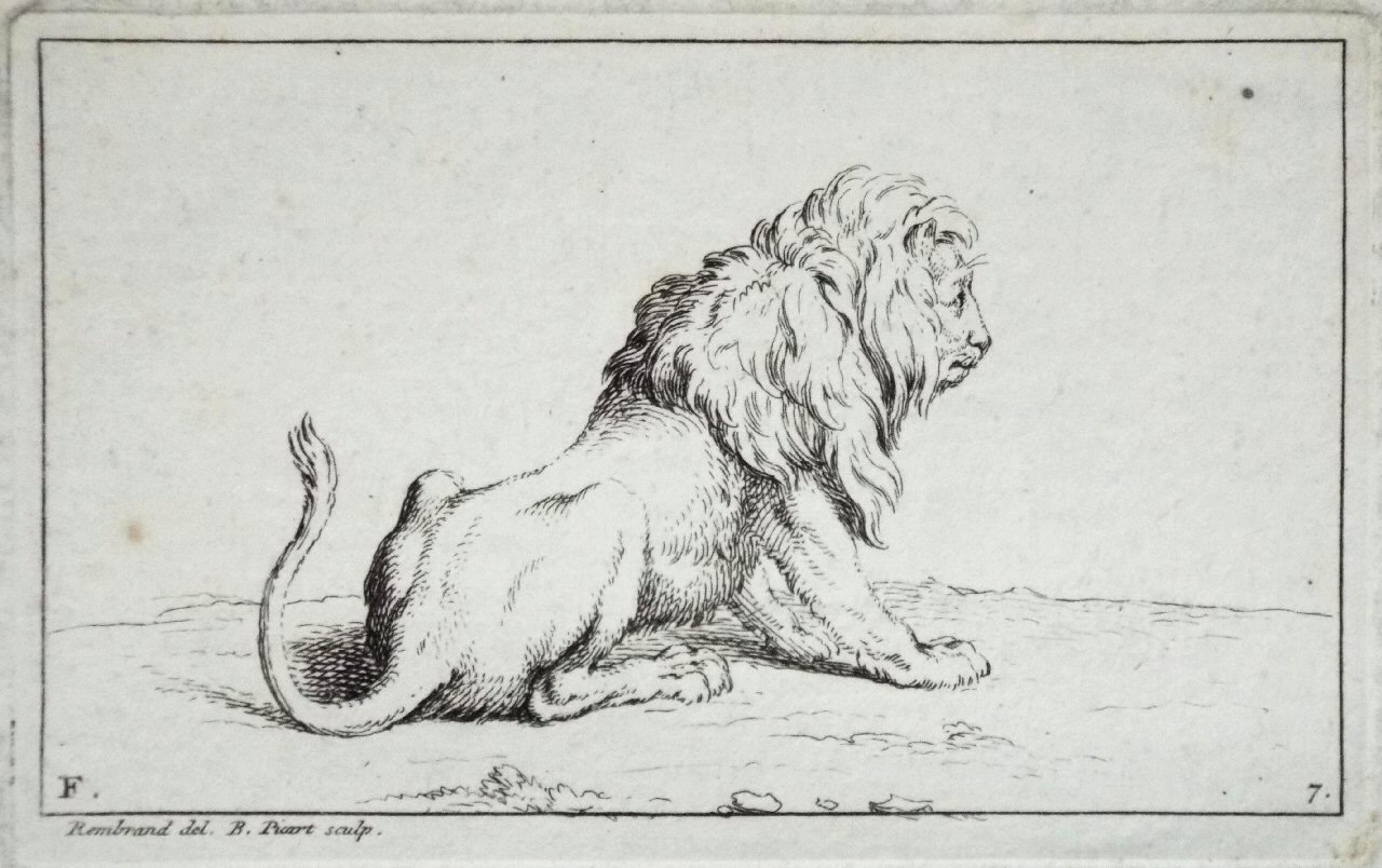 Etching - F. 7. Lion - Picart